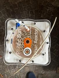 Reattore di alghe Pacificsun