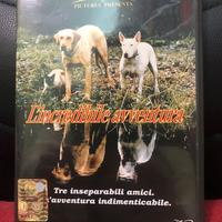 L’incredibil avventura Disney dvd ed.italiana