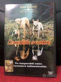 L’incredibil avventura Disney dvd ed.italiana