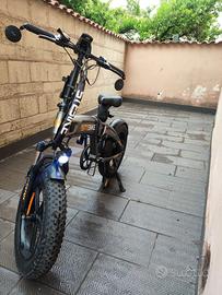 ebike: STEBIKE VIII