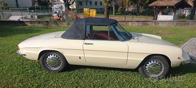 spider alfa romeo