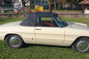 spider alfa romeo
