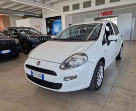 FIAT Punto 1.2 8V 5 porte Young