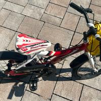 Bicicletta da bambino