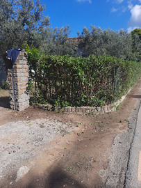 Appartamento al mare