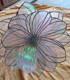 fiore design expo vetrina 