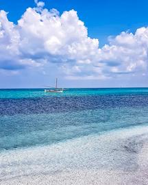 STINTINO Casa vacanze sul mare