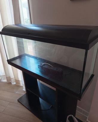 acquario di un metro, 100 litri