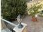 Immagine 7