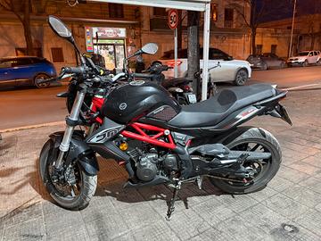 Benelli bn 300