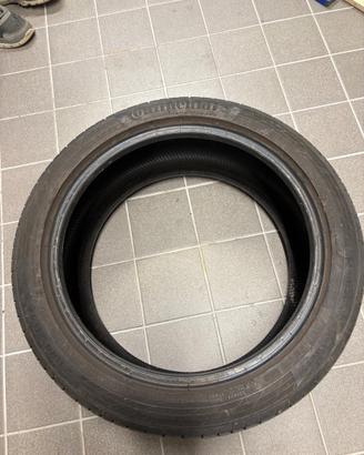 Gomma continental estiva