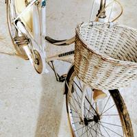 bici donna 26 girardengo 