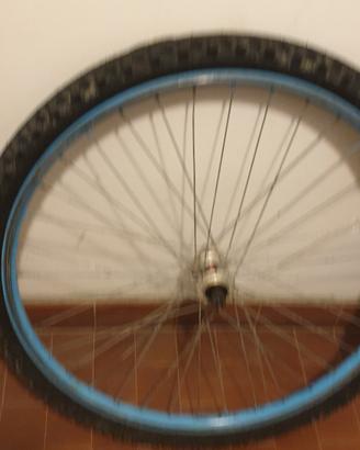 ruota