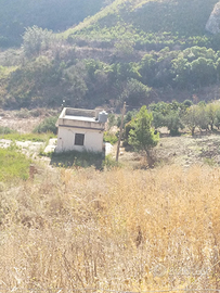 Tre vani con 7000mt di terreno