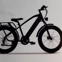 Bici elettrica ruota larga come nuova - ENGWE