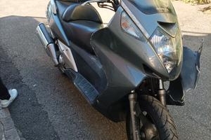Silver Wing 600