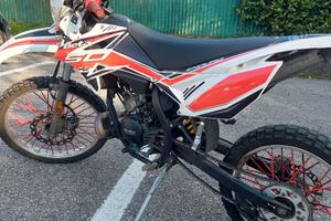 Beta RR 50 - 2019