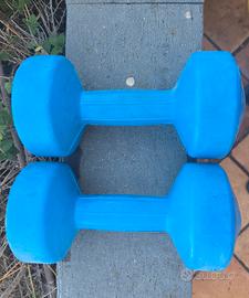 Manubri rivestiti in plastica della Valsport 5kg