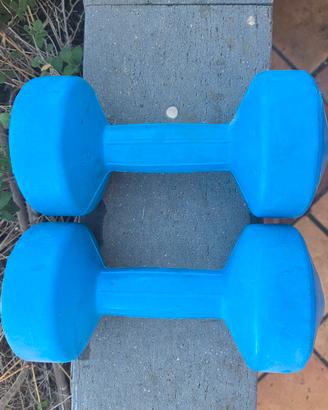 Manubri rivestiti in plastica della Valsport 5kg