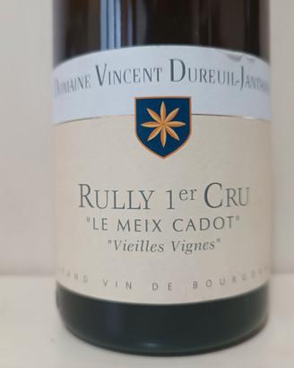 Vino Francia vintage: Borgogna, Bordeaux, Rhone