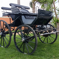 Carrozza spider phaeton