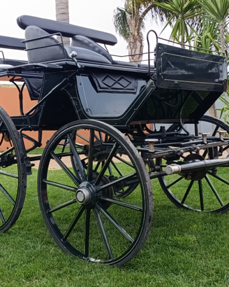 Carrozza spider phaeton