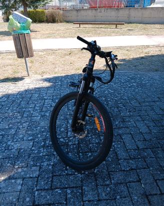 bici elettrica