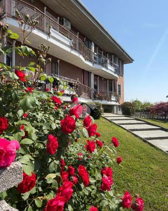 4 LOCALI A CRESCENTINO