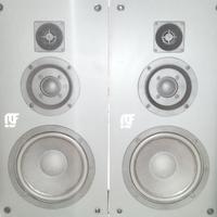 RCF casse diffusori stereo 