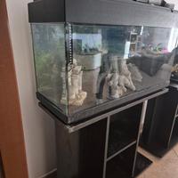 Acquario da  70l
