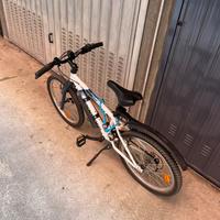 Mtb bambino