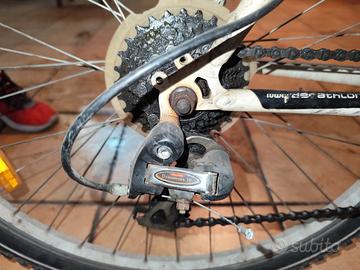 bicicletta