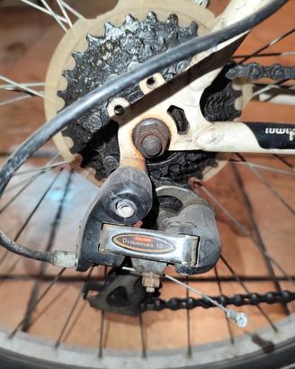 bicicletta