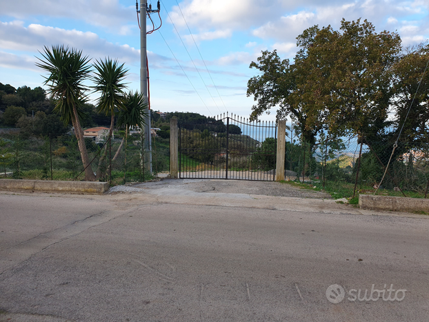 Terreno a Caccamo Contrada Cangemi