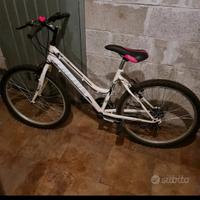 mountain bike donna 24