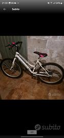mountain bike donna 24
