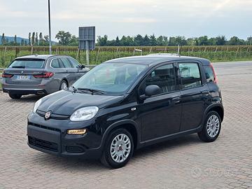 Fiat Panda 1000 FireFly Hybrid 70CV ""Panda"" 