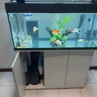 Acquario juwel rio 180L