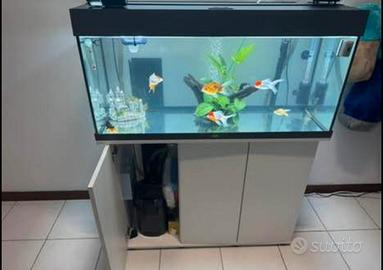Acquario juwel rio 180L