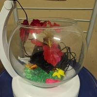 ACQUARIO CON LUCE