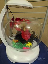 ACQUARIO CON LUCE