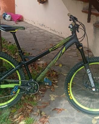 Bici Specialaized En-duro P2