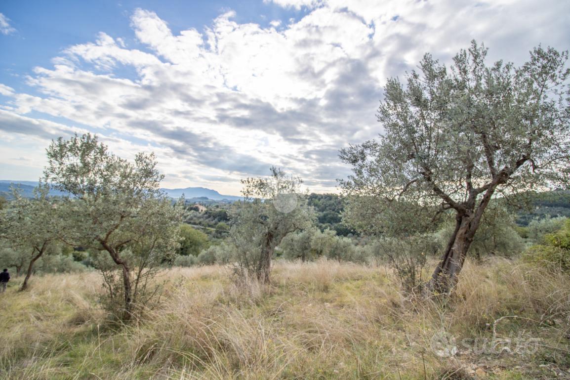 TER. AGRICOLO A TORRI IN SABINA - Vista 5