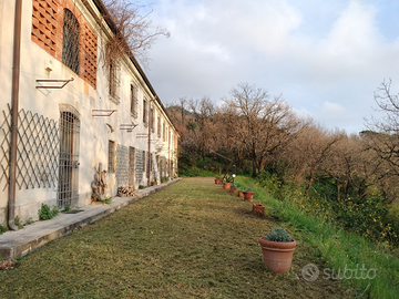 Cascinale Rustico a Quiesa