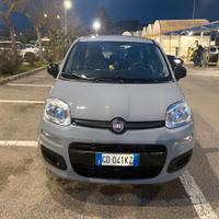 Fiat Panda hibrid 1000