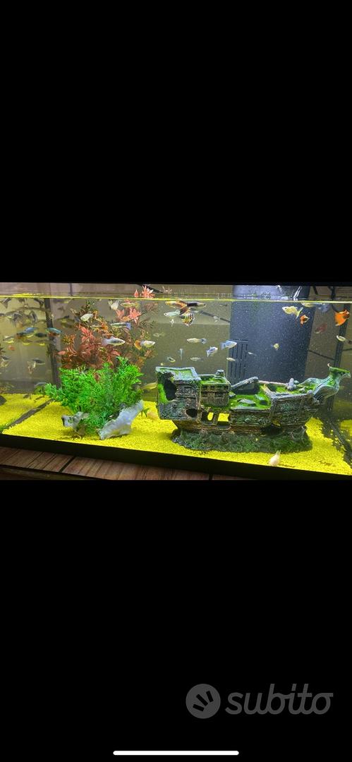 Acquario 60 litri - Accessori per animali In vendita a Cagliari