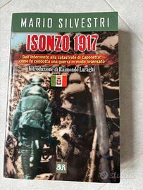 “Isonzo 1917” di Mario Silvestri