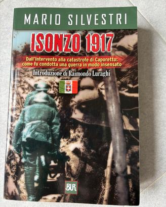“Isonzo 1917” di Mario Silvestri