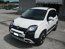 fiat-panda-cross-1-0-firefly-s-s-hybrid-pari-al-n