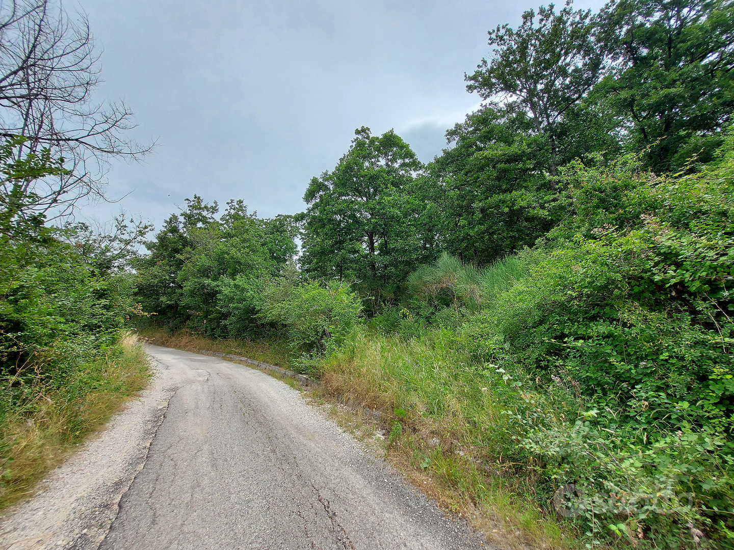 Terreno di 16400 mq uscita autostradale Contursi - Vista 3